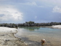 img_galerie/2012_12_rangiroa/normal/PICT0335.JPG