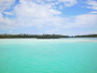 img_galerie/2012_12_sable_rose_rangiroa/normal/PICT0855.JPG