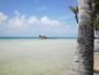 img_galerie/2012_12_sable_rose_rangiroa/normal/PICT0865.JPG