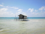 img_galerie/2012_12_sable_rose_rangiroa/normal/PICT0866.JPG