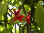 img_galerie/2012_12_tiputa/normal/PICT0048.JPG