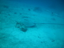 img_galerie/2013_01_tikehau/normal/PICT0015.JPG