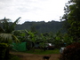 img_galerie/2013_02_moorea/normal/PICT0025.JPG