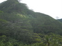 img_galerie/2013_02_moorea/normal/PICT0034.JPG