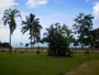 img_galerie/2013_02_moorea/normal/PICT0044.JPG