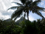 img_galerie/2013_02_moorea/normal/PICT0054.JPG